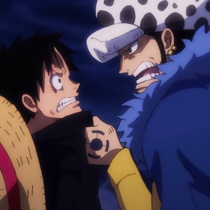 Luffy Law thumbnail