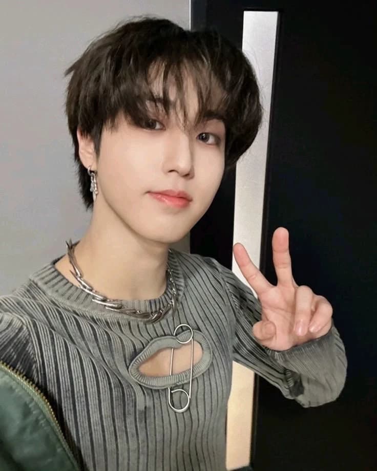 Han Jisung •°omegavers°• thumbnail