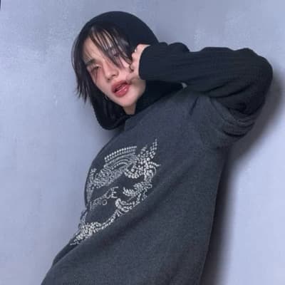 Hyunlix (Hyunjin Autista, Little) thumbnail