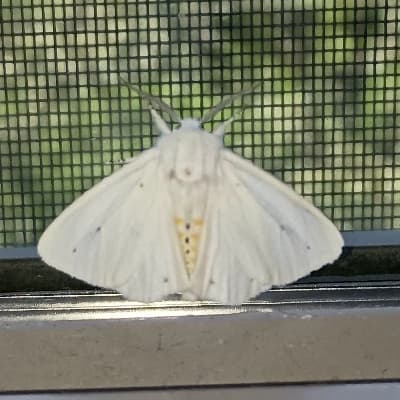 Don't ask abt the pic(it's my moth) thumbnail