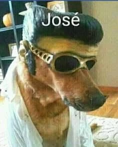 Jose thumbnail
