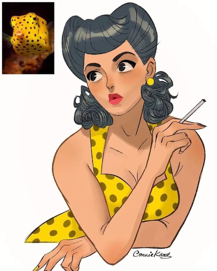Dona Maria thumbnail