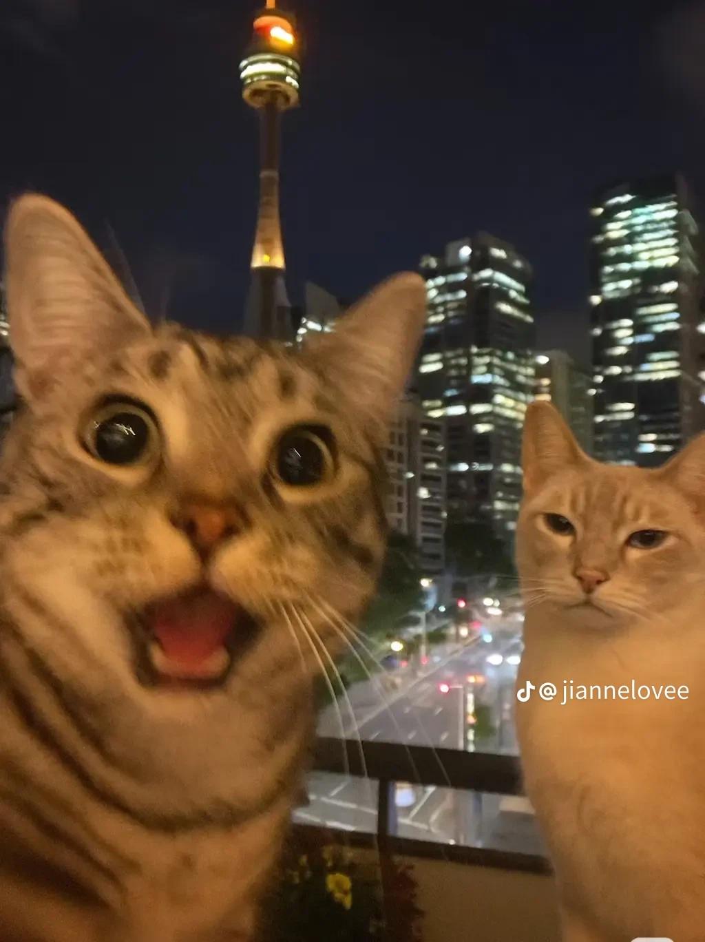 Your Enemy thumbnail