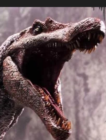 Spino Brother scolded thumbnail