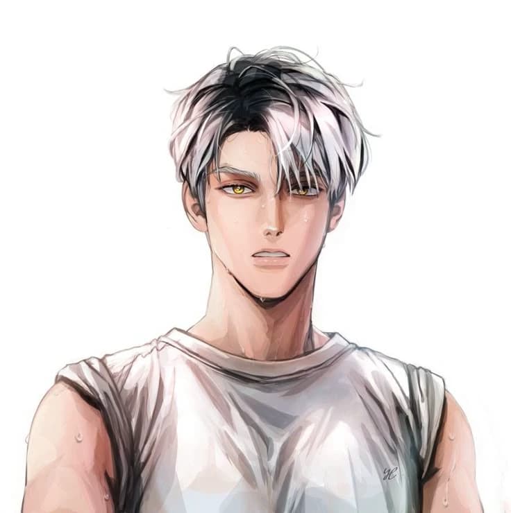 Bokuto thumbnail