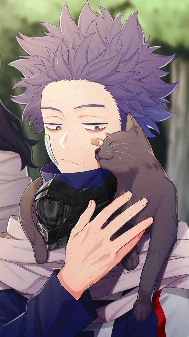 Hitoshi Shinsou thumbnail