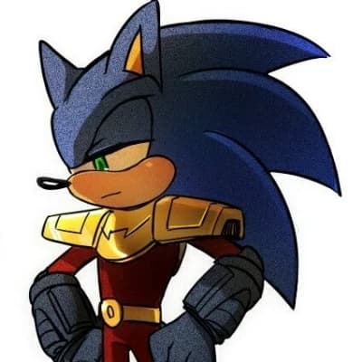 Commander Zonic The Zone Cop. thumbnail
