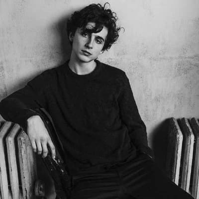 Timothée Chalamet thumbnail