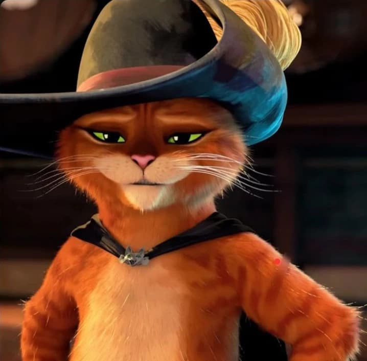 Boots Cat thumbnail