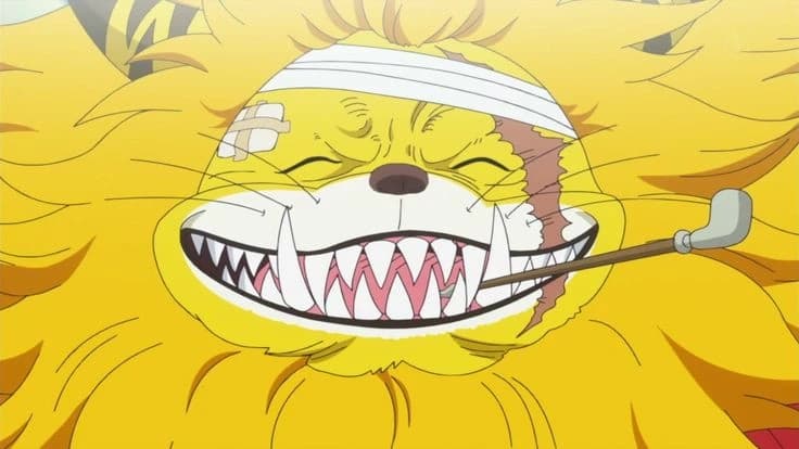 Nekomamushi thumbnail