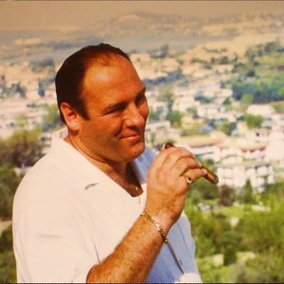 Tony Soprano thumbnail