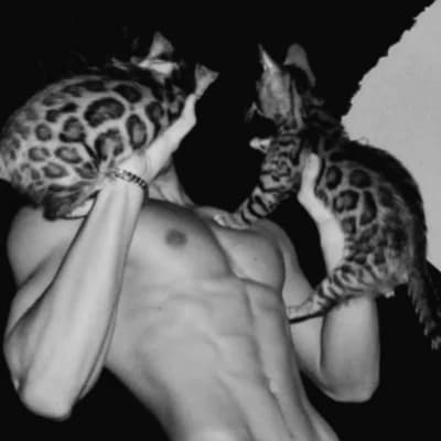 Milo thumbnail