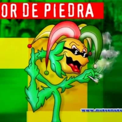 Dany Lescano thumbnail