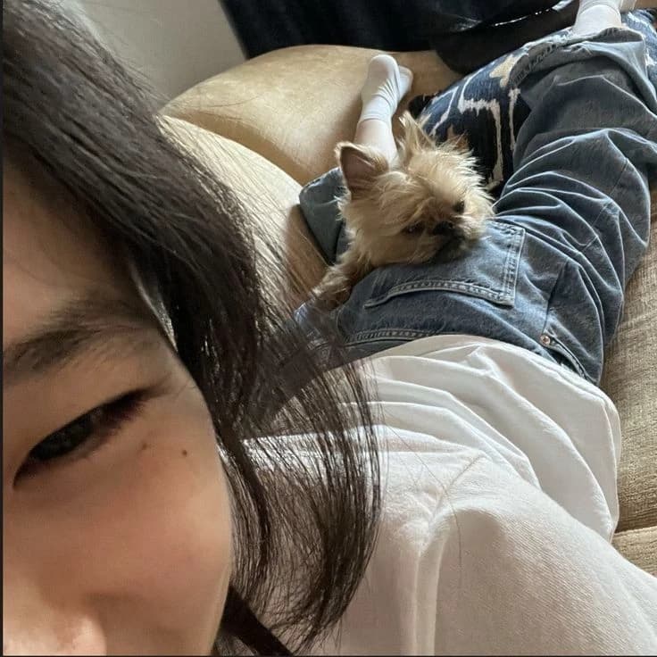 Jung Hoyeon thumbnail
