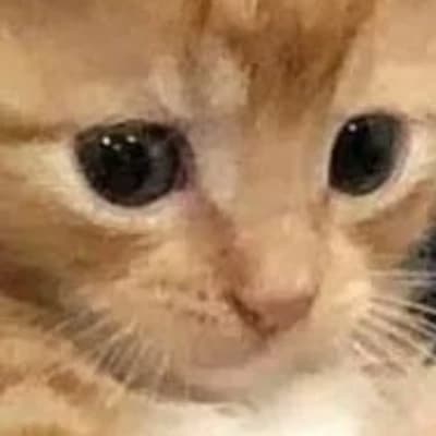Meow!(her name is lily she just typed for me) thumbnail
