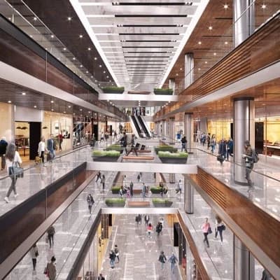 Mall Shoplifters thumbnail