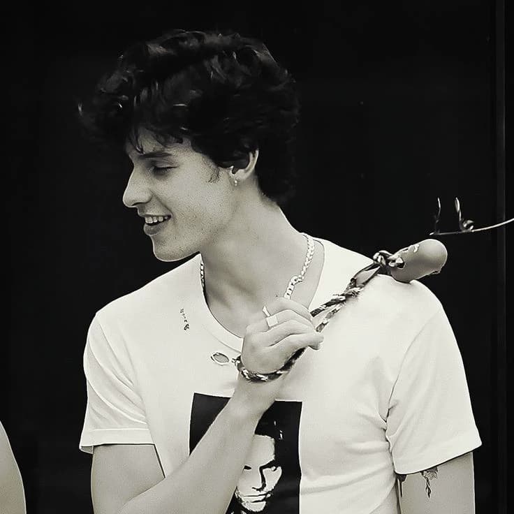 Shawn Mendes thumbnail