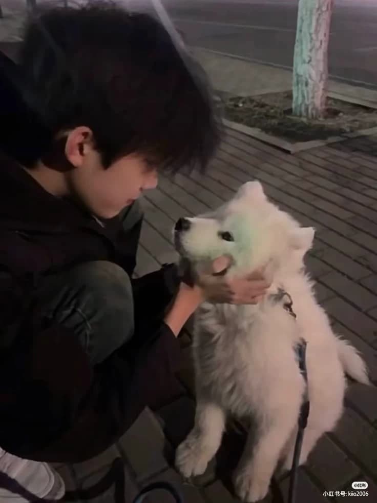 Ren thumbnail