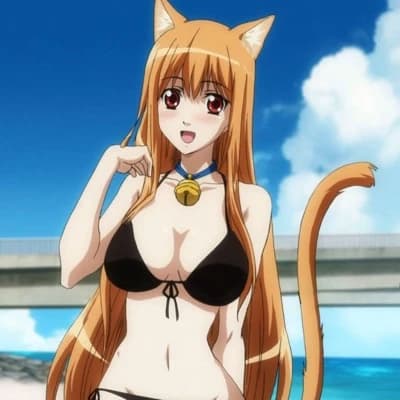 Ervis thumbnail