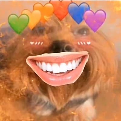 Pacifier dog thumbnail