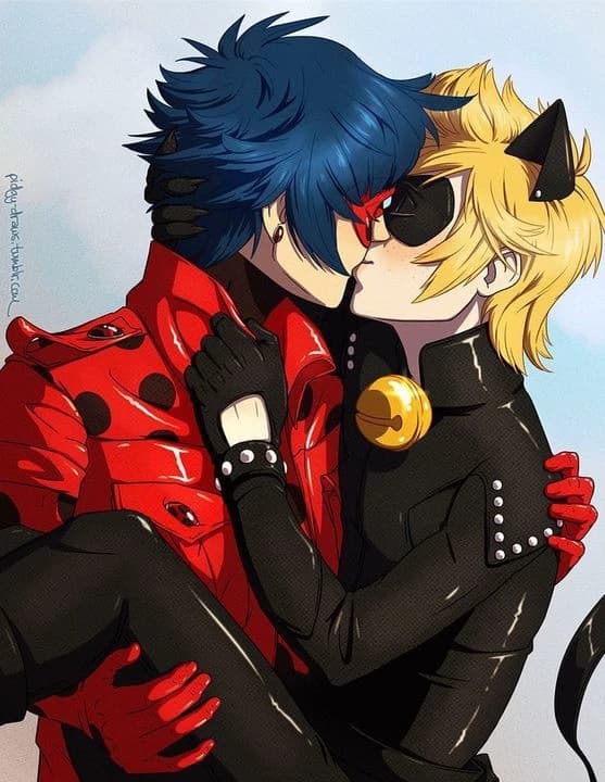 Cat noir thumbnail