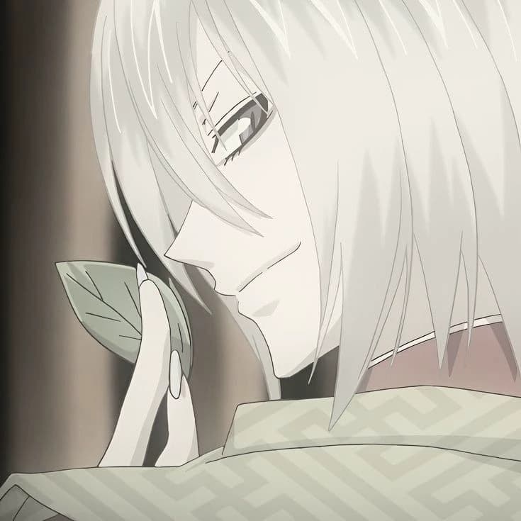 ⋆🐾° Tomoe ⋆🐾° thumbnail