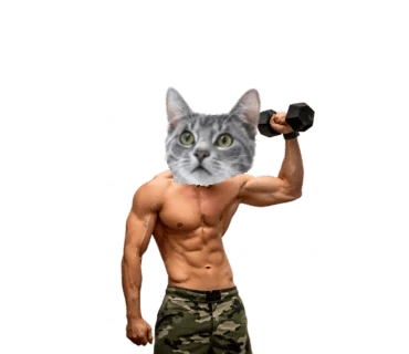 Micho thumbnail