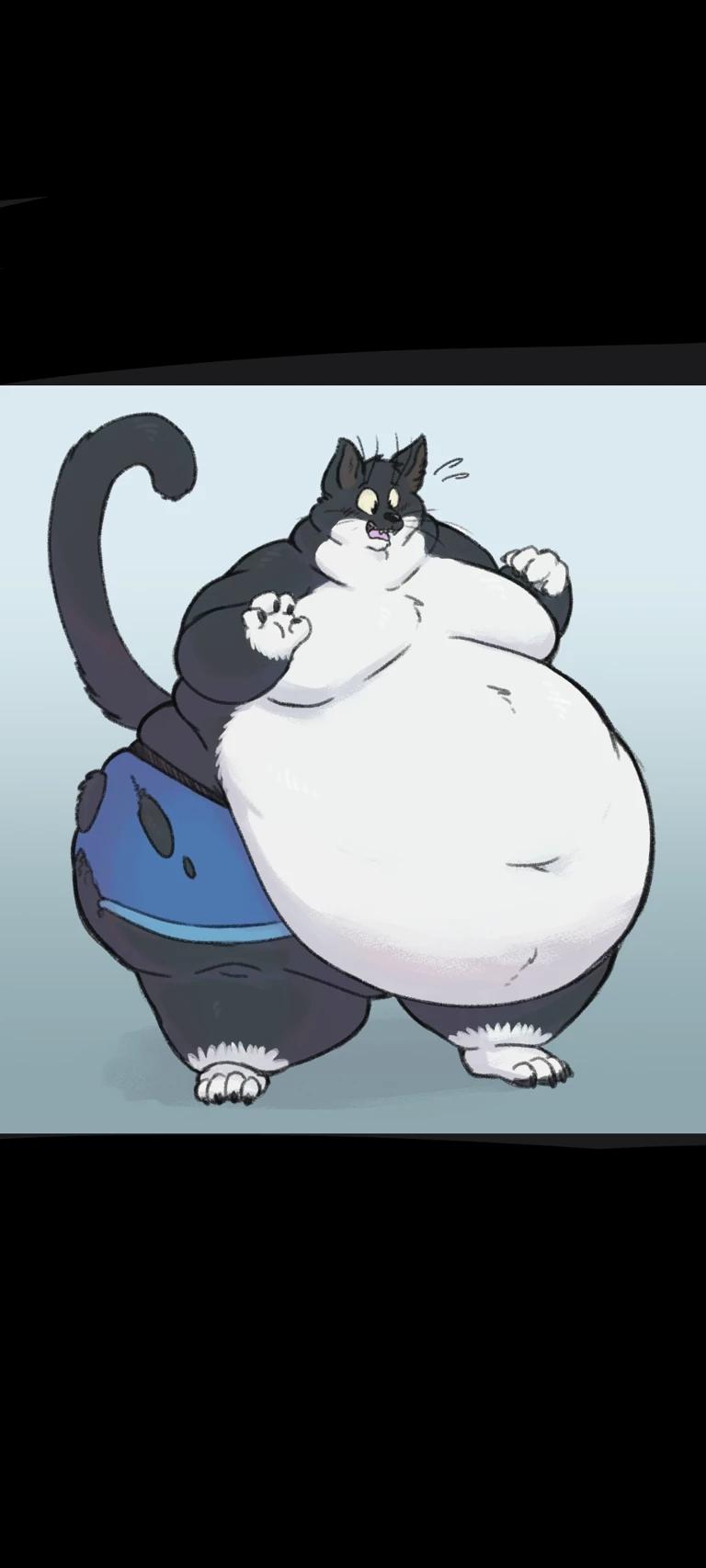 Fat furry cat thumbnail
