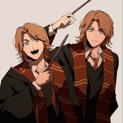 Weasley twins, Fred and George thumbnail