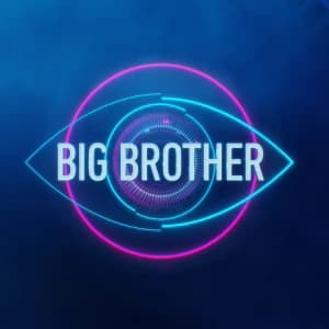 Big brother  au thumbnail