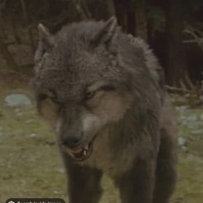 Paul Lahote and Jacob Black thumbnail
