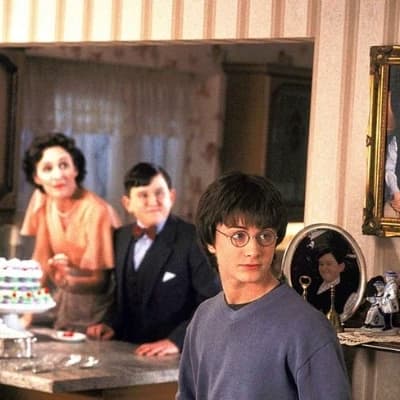 Harry Potter and the Dursleys thumbnail