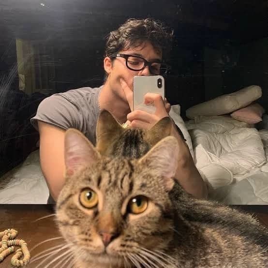 Harry thumbnail