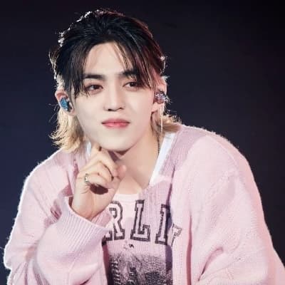 S.Coups (SEVENTEEN) (BL) thumbnail