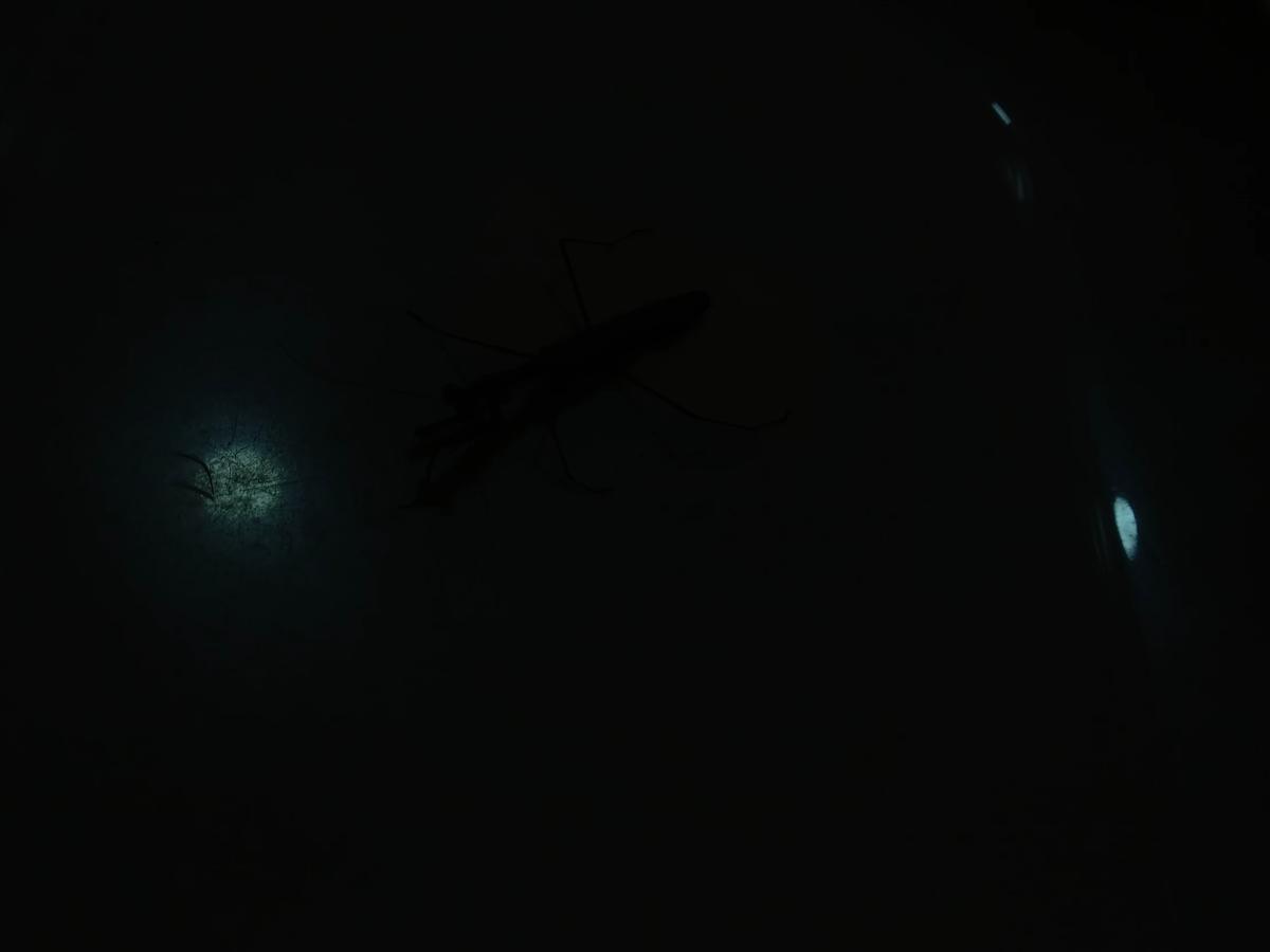 Demon World /Update 2.1!/ thumbnail