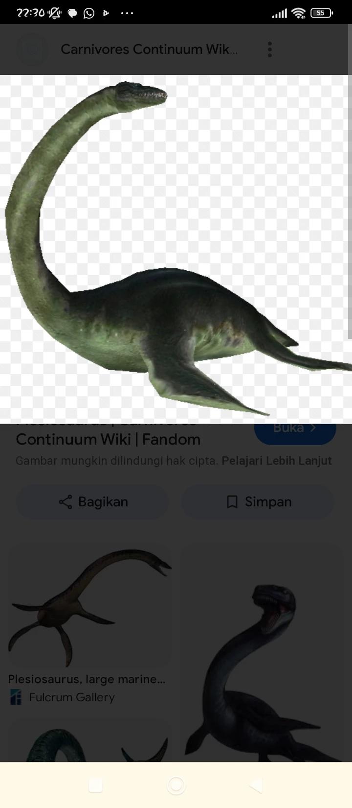 Plesiosaurus thumbnail
