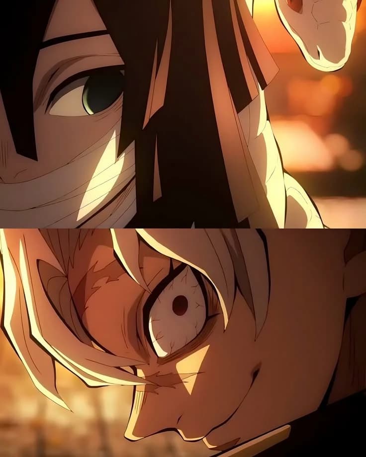 Obanai & Sanemi. thumbnail