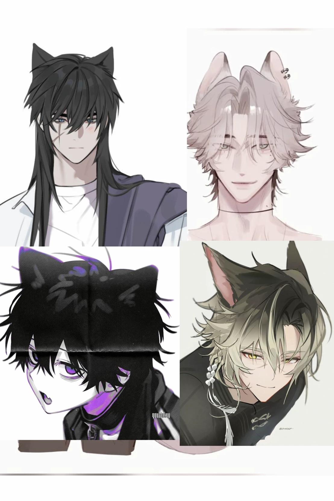 almost domestic cats thumbnail