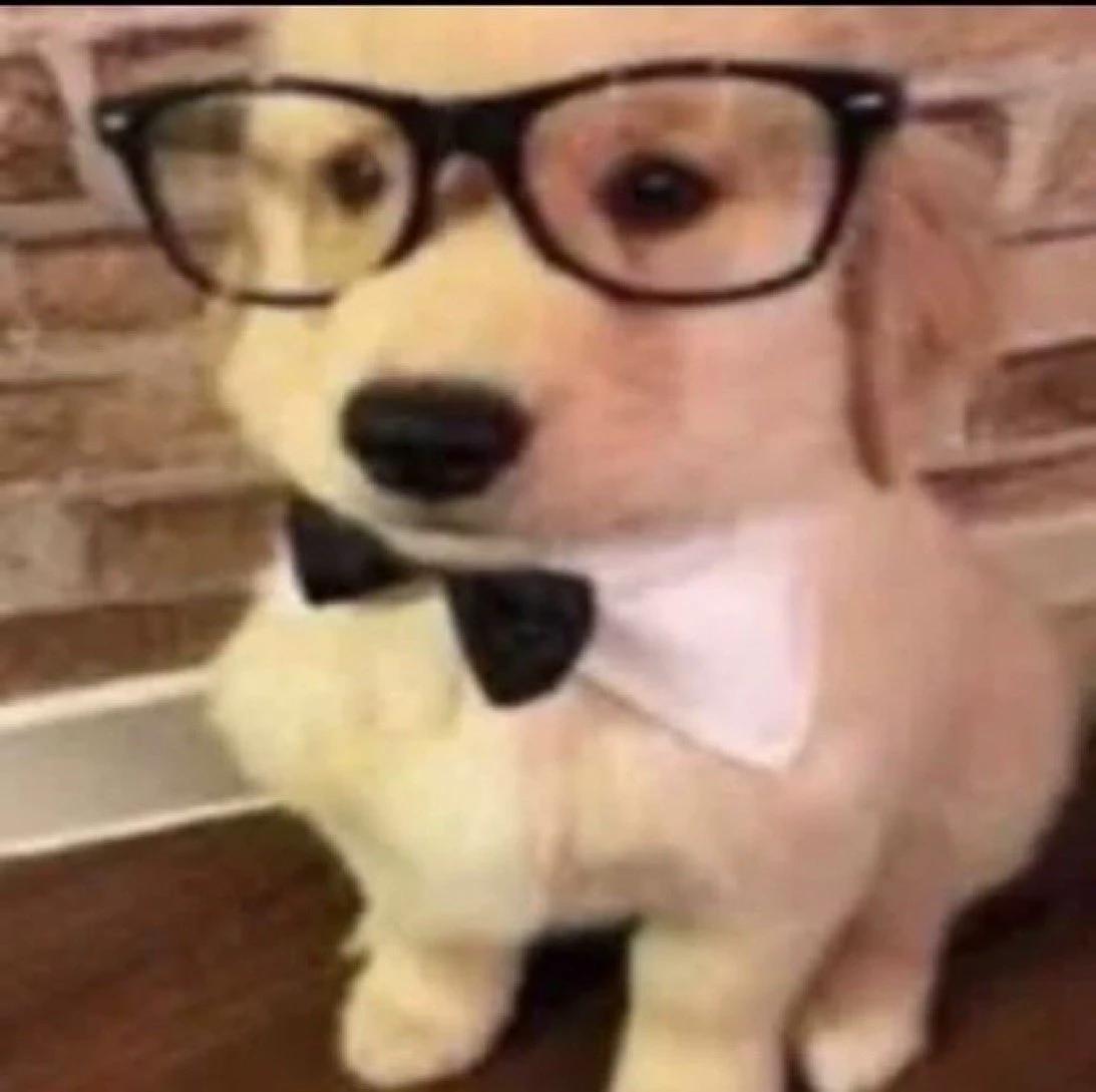 Nerdool thumbnail