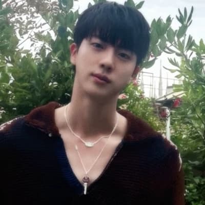 Seokjin thumbnail