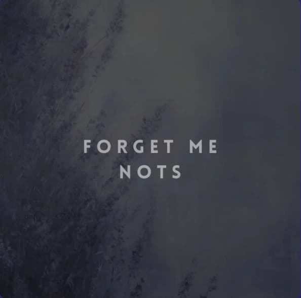 🪻| Forget Me Nots  thumbnail