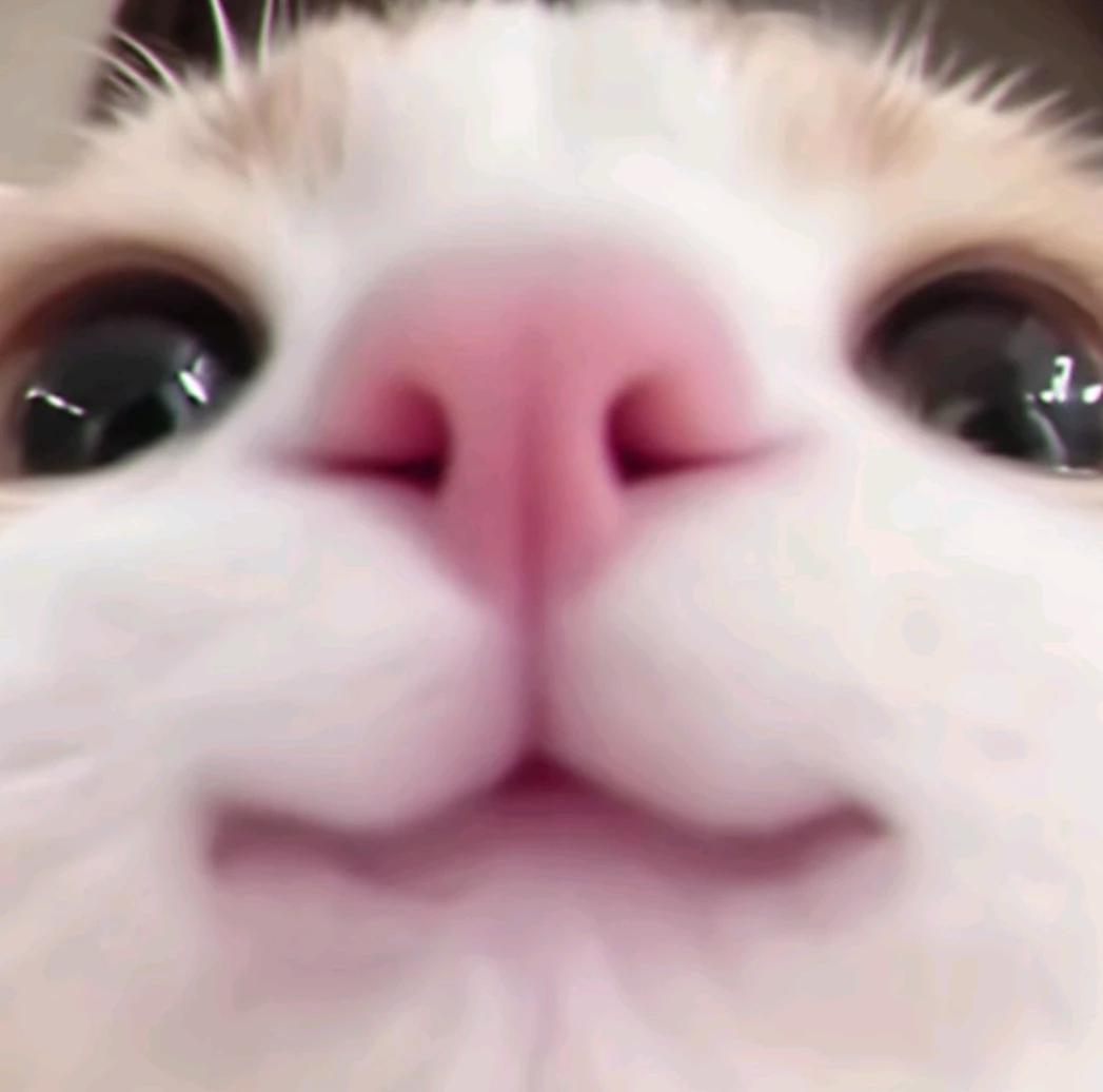 Luna thumbnail