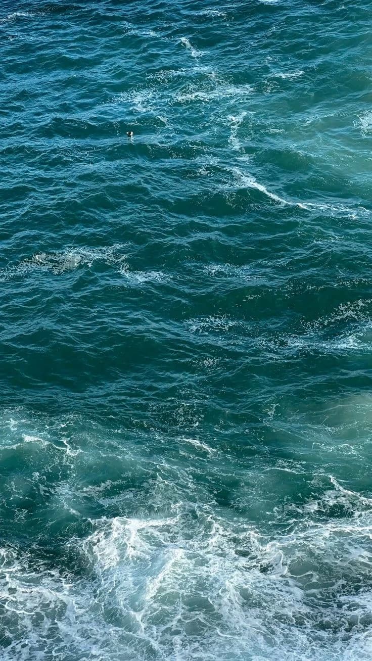 The ocean thumbnail