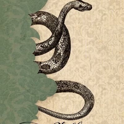 Slytherin gang  thumbnail
