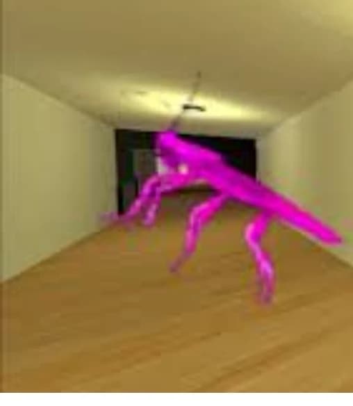 Crazy cockroach  thumbnail