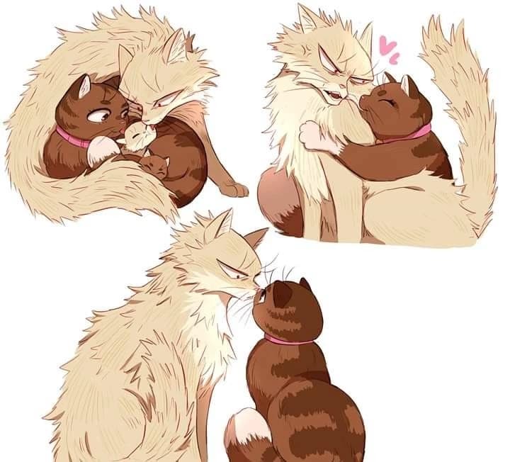 Katsuki Bakugo "Cat 🐱" thumbnail