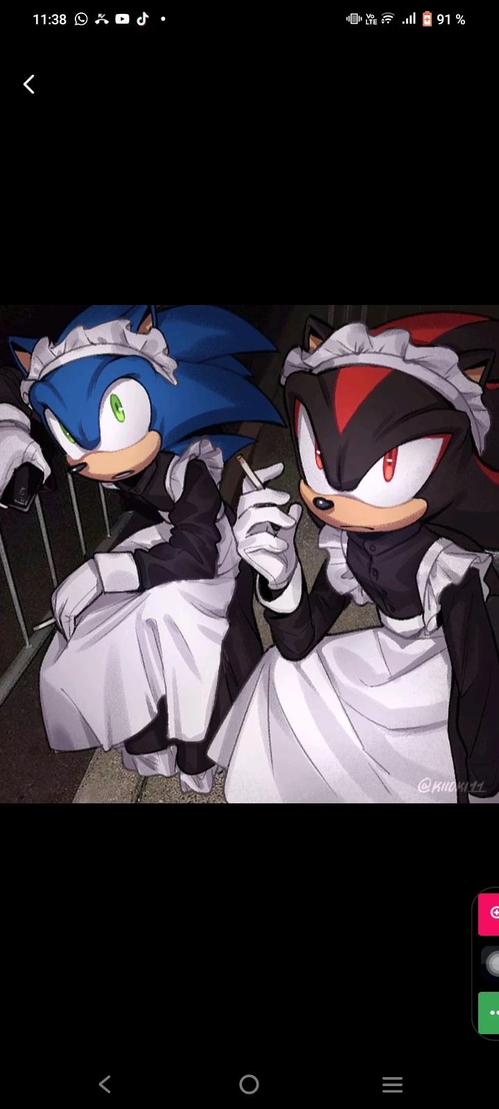 Shadow y Sonic thumbnail