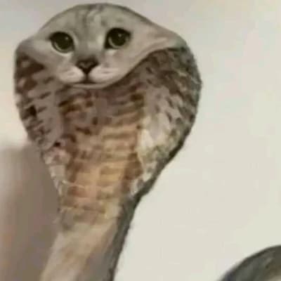 Snake Cat thumbnail