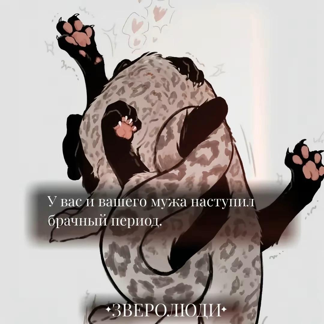 • The wedding period Bl! • thumbnail