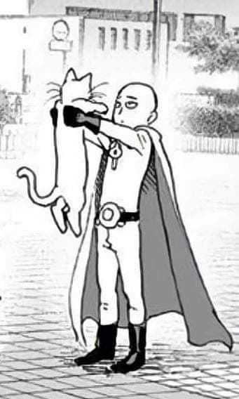 Saitama thumbnail